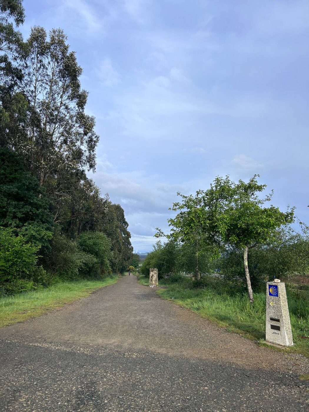 Camino Primitivo - Etape 13 - O Perdrouzo à Santiago