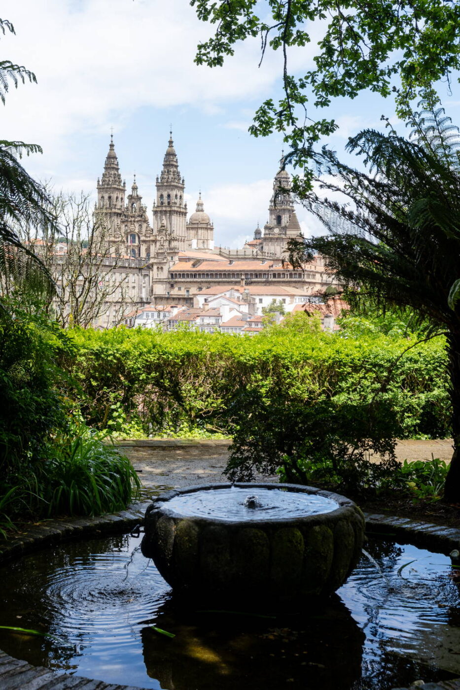 Camino Primitivo - Etape 13 - O Perdrouzo à Santiago